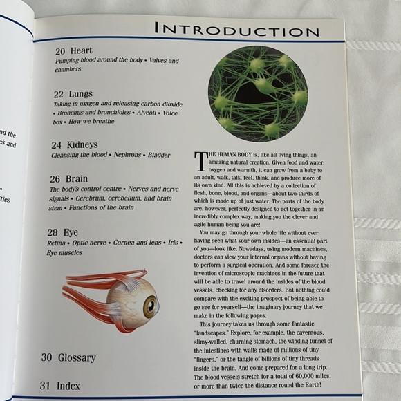 The Incredible Journey Through The Human Body by Nicholas Harris BOOK - Picture 8 of 13